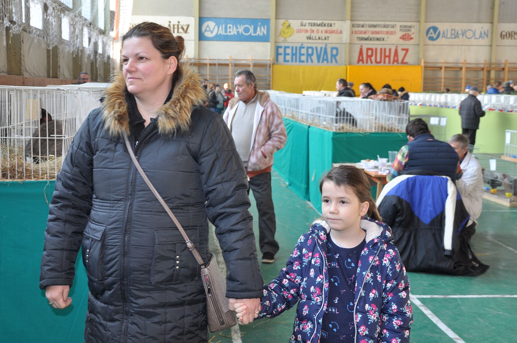 Az év legnagyobb kisállat kiállítása a Volán Sportcsarnokban